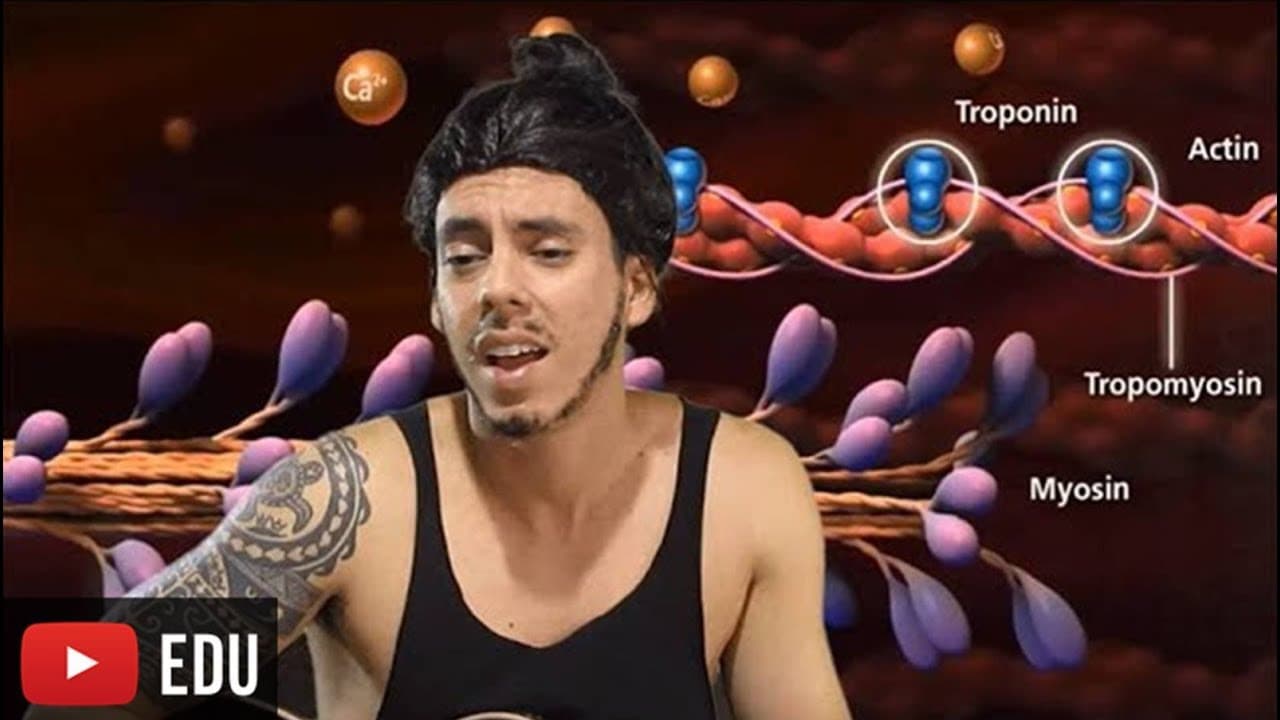 Thumbnail: Contração Muscular - Paródia Professor Gustavo