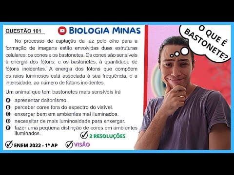 Thumbnail da aula: [ENEM 2022] 101 📒VISÃO No processo de captação da luz pelo olho para a formação de imagens estão