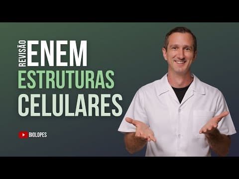 Thumbnail da aula: ENEM 2024 - O esquema representa um experimento feito com células de protozoário Amoeba proteus.