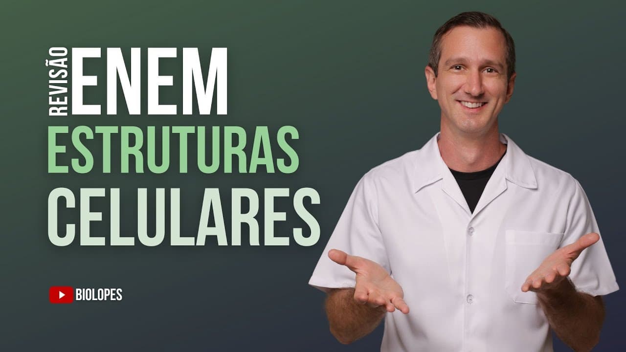 Thumbnail: ENEM 2024 - O esquema representa um experimento feito com células de protozoário Amoeba proteus.