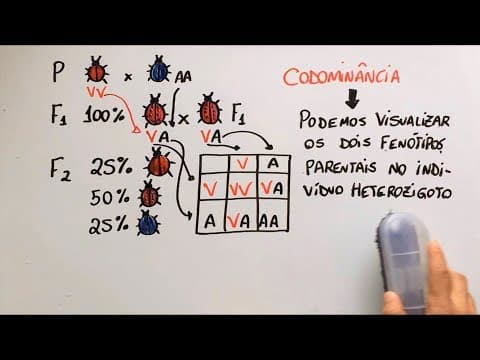 Thumbnail da aula: Ausência de dominância - Genética - Resumo Professor Gustavo