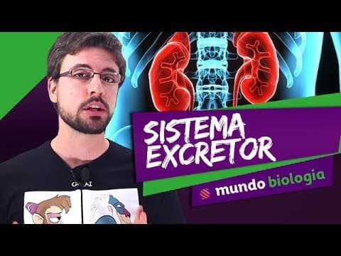 Thumbnail da aula: 👩‍⚕️ Fisiologia (4/8): Sistema Excretor - Biologia - ENEM