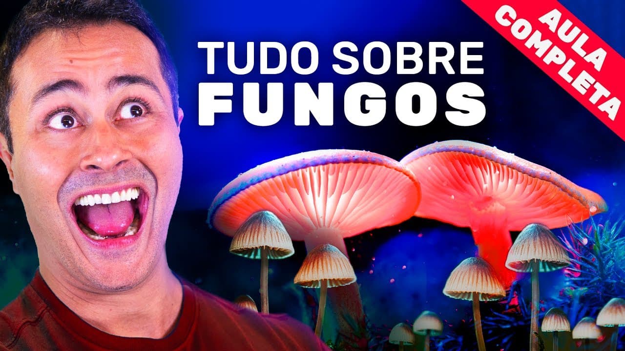 Thumbnail: REINO FUNGI: Tudo sobre FUNGOS pra você detonar na prova
