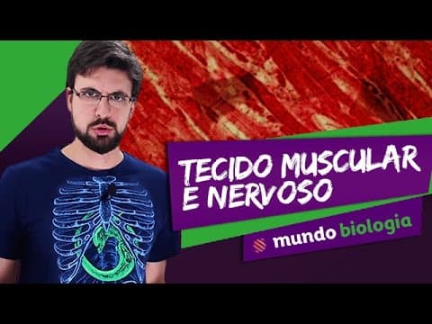 Thumbnail da aula: 🧫 Histologia (3/3): Tecido Muscular e Nervoso - Biologia - ENEM