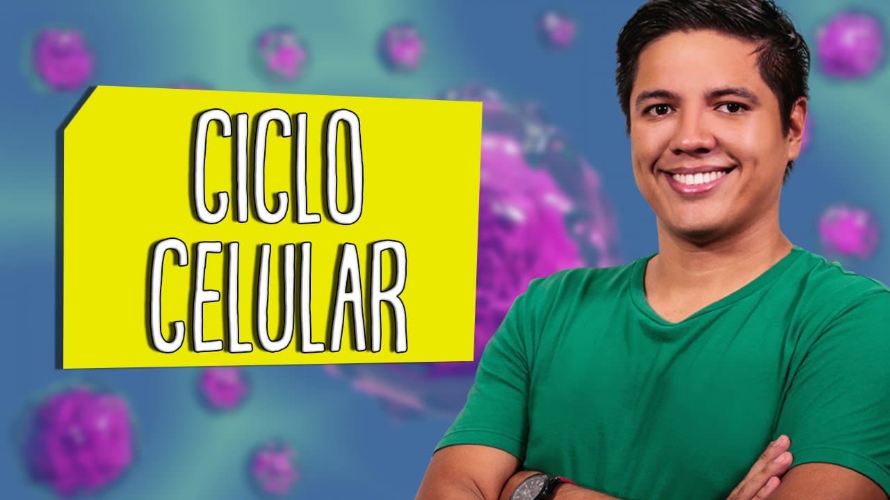 Thumbnail: INTERFASE - CICLO CELULAR - Prof. Kennedy Ramos
