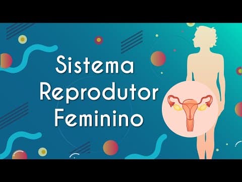Thumbnail da aula: Sistema Reprodutor Feminino - Brasil Escola