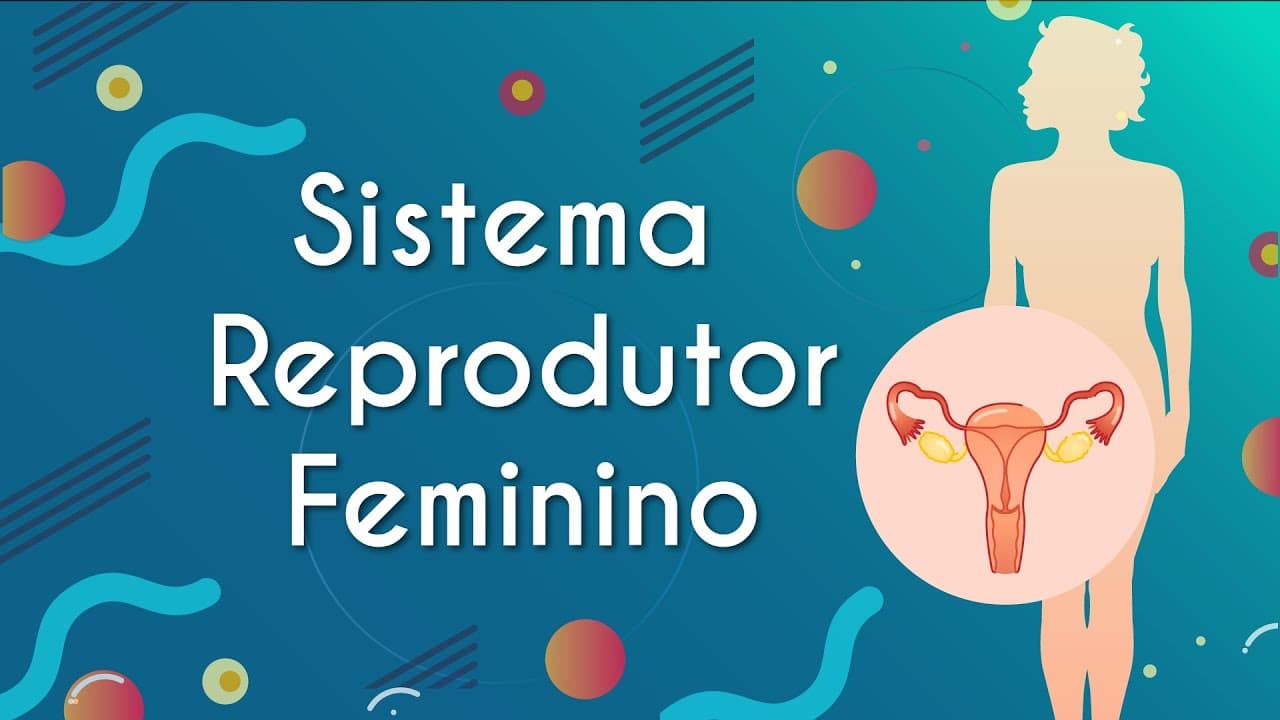 Thumbnail: Sistema Reprodutor Feminino - Brasil Escola