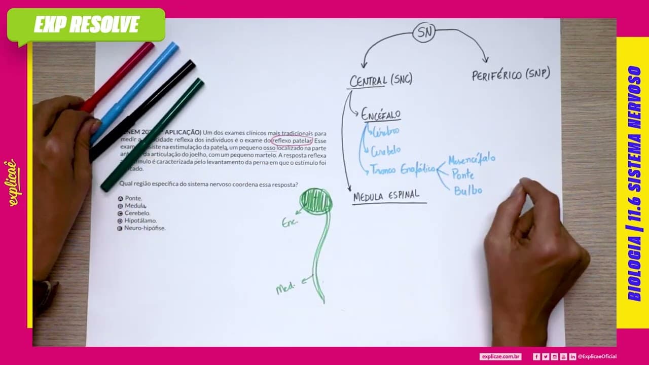 Thumbnail: UM DOS EXAMES CLÍNICOS MAIS TRADICIONAIS PARA MEDIR A CAPACIDADE REFLEXA DOS (...) | SISTEMA NERVOSO