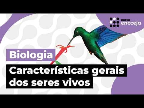 Thumbnail da aula: CARACTERÍSTICAS GERAIS DOS SERES VIVOS | RESUMO DE BIOLOGIA PARA O ENCCEJA