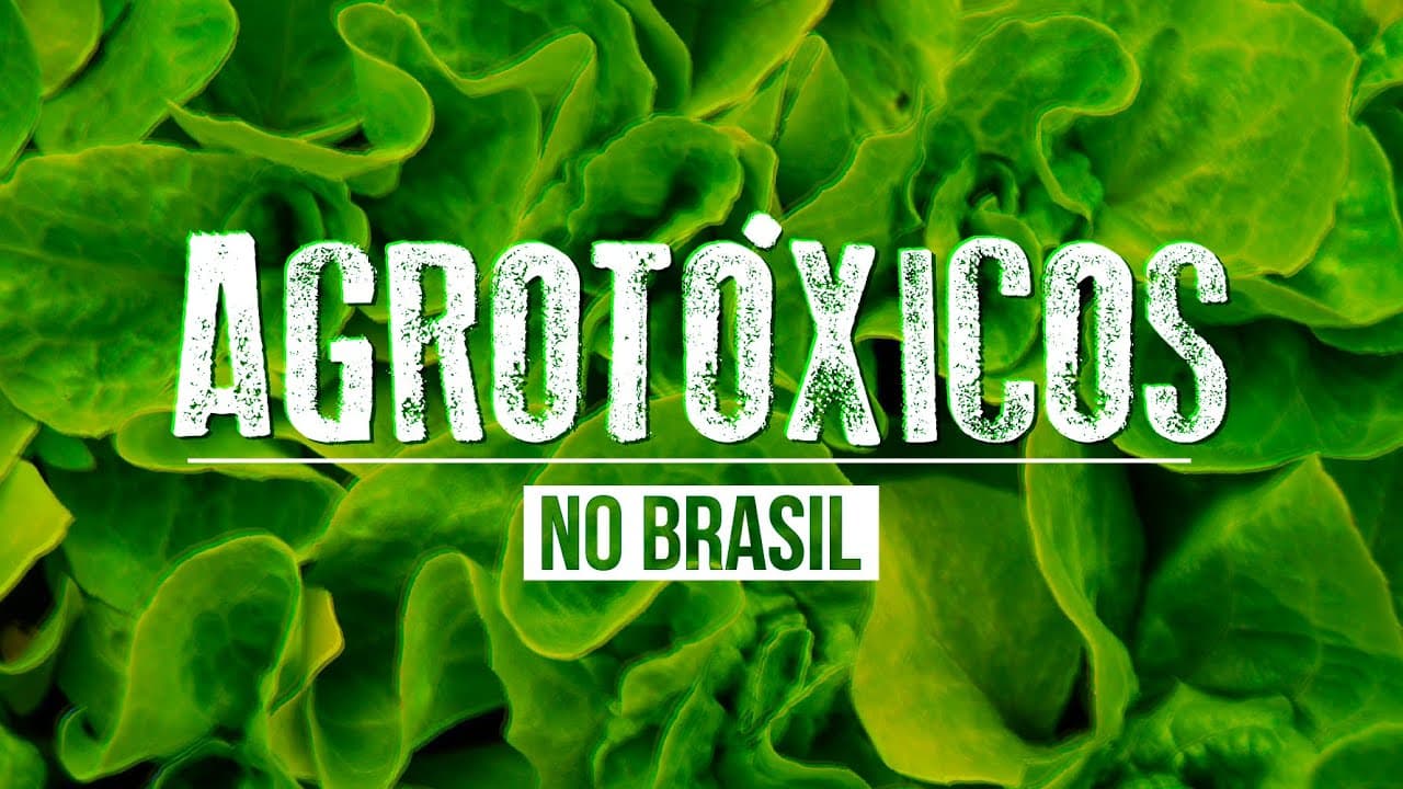 Thumbnail: AGROTÓXICOS NO BRASIL: IMPACTOS NA SAÚDE E NO MEIO AMBIENTE | Atualidades e Redação para o Enem
