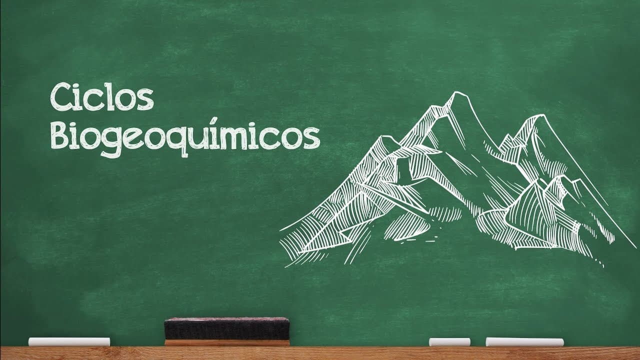 Thumbnail: Videoaulas Poliedro | Enem | Ciclos Biogeoquímicos
