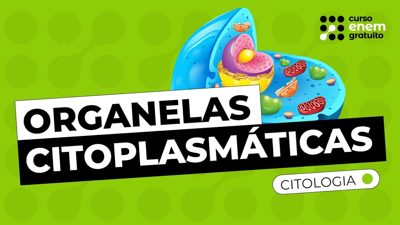 Thumbnail: ORGANELAS CITOPLASMÁTICAS (CITOLOGIA) | Resumo de Biologia para o Enem