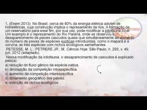 Thumbnail da aula: Biologia:  Ecologia - ENEM