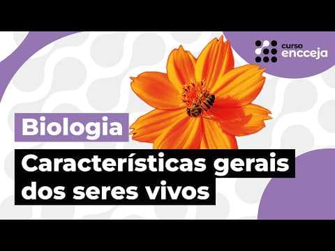 Thumbnail da aula: RELAÇÕES ECOLÓGICAS | RESUMO DE BIOLOGIA PARA O ENCCEJA