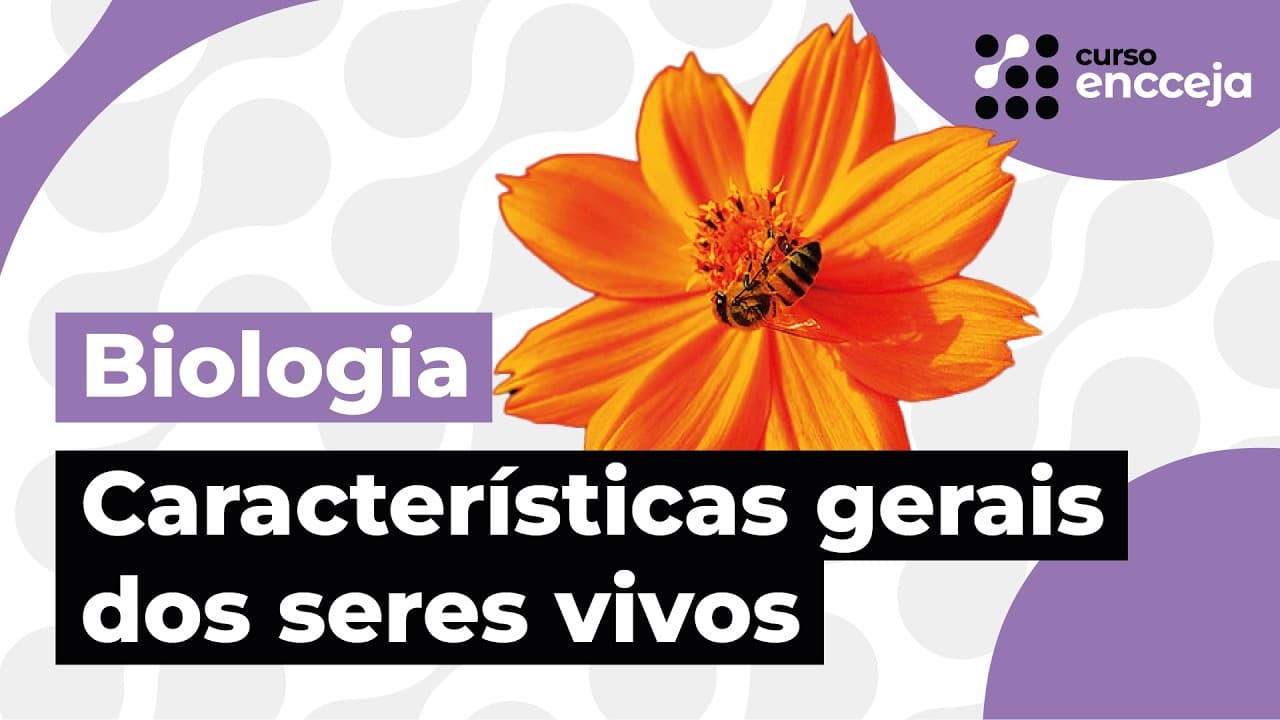 Thumbnail: RELAÇÕES ECOLÓGICAS | RESUMO DE BIOLOGIA PARA O ENCCEJA