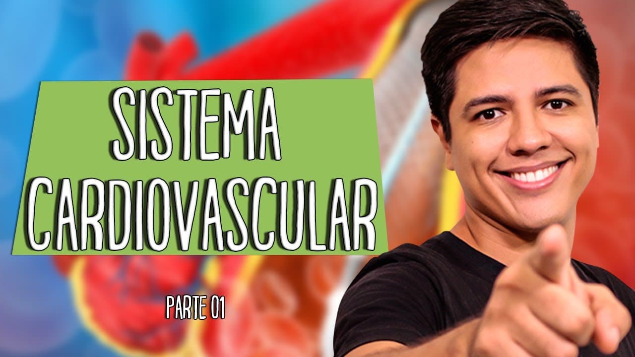 Thumbnail: SISTEMA CIRCULATÓRIO OU CARDIOVASCULAR - Parte 01 - Prof. Kennedy Ramos