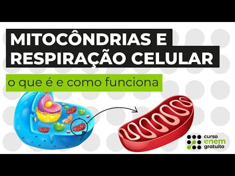 Thumbnail da aula: Mitocôndrias e respiração celular: o que é e como funciona | Biologia | Cláudia Aguiar
