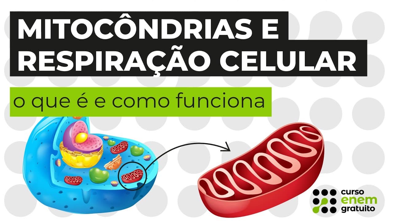 Thumbnail: Mitocôndrias e respiração celular: o que é e como funciona | Biologia | Cláudia Aguiar