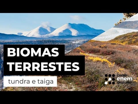 Thumbnail da aula: BIOMAS TERRESTRES: tundra e taiga | Biologia para o Enem | Cláudia de Souza Aguiar