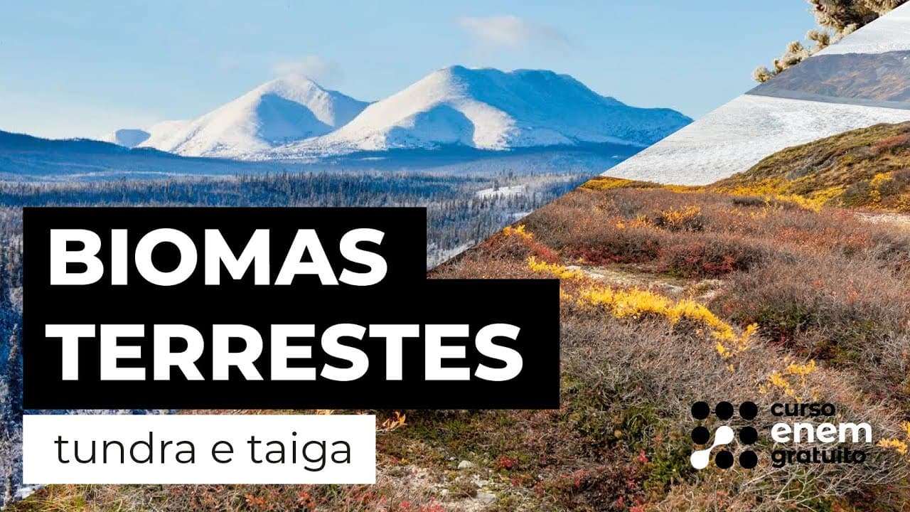 Thumbnail: BIOMAS TERRESTRES: tundra e taiga | Biologia para o Enem | Cláudia de Souza Aguiar
