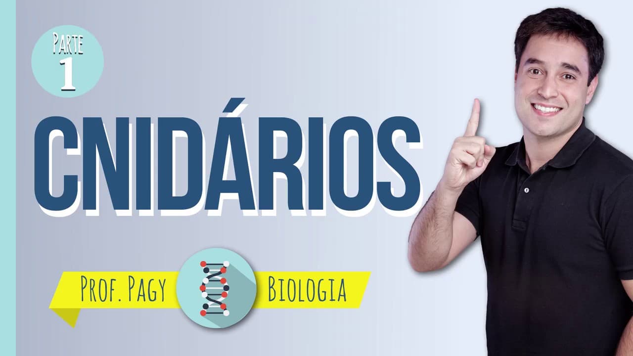 Thumbnail: Cnidários parte I - prof. Pagy - Biologia