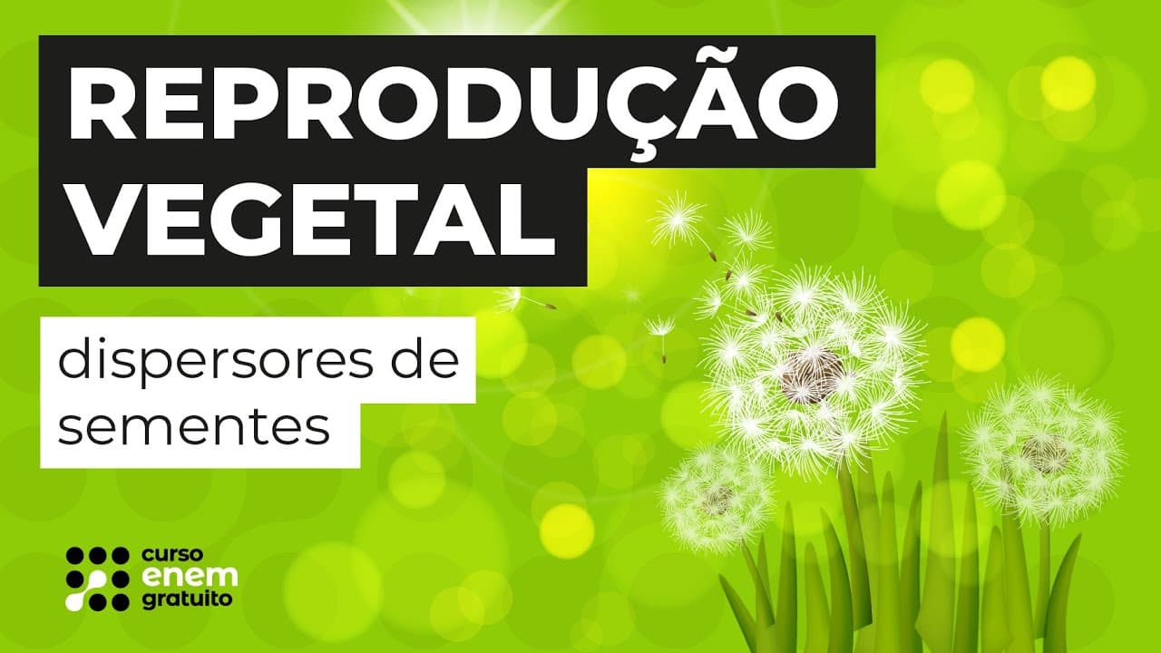 Thumbnail: REPRODUÇÃO VEGETAL: dispersores de sementes | Biologia para o Enem | Cláudia de Souza Aguiar