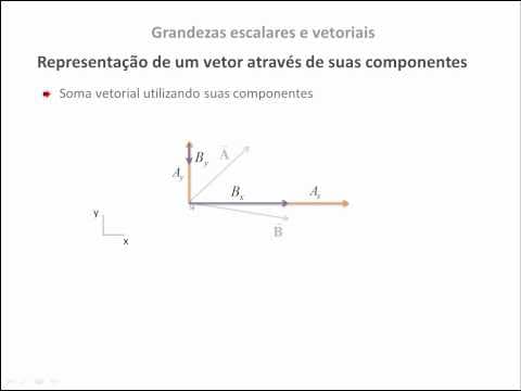 Thumbnail da aula: Física 04 - Grandezas escalares e vetoriais (Exercício Fuvest 2010)