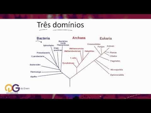 Thumbnail da aula: Biologia: Taxonomia - ENEM