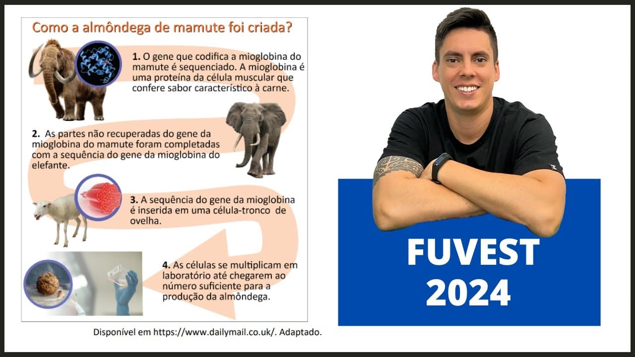 Thumbnail: BIOLOGIA FUVEST 2024! "Em 2023, a imprensa mundial anunciou a criação da almôndega..."