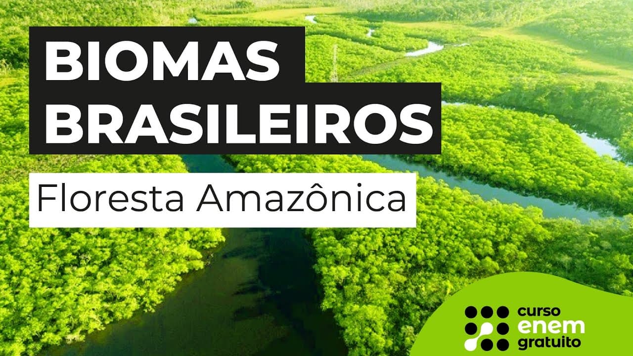 Thumbnail: BIOMAS BRASILEIROS: Floresta Amazônica | Biologia para o Enem | Cláudia de Souza Aguiar