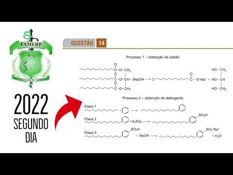 Thumbnail da aula: FAMERP 2022 | SEGUNDO DIA | QUESTÃO 14
