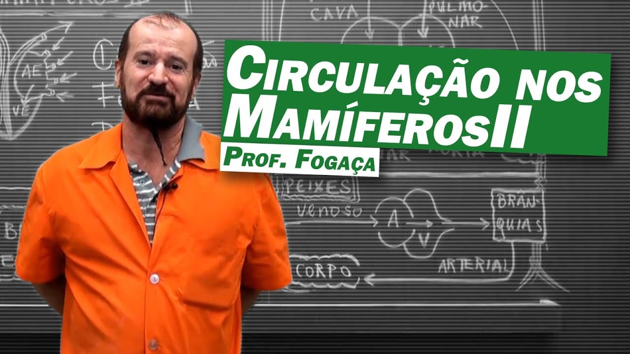Thumbnail: Biologia - Circulação nos Mamíferos (parte 2)