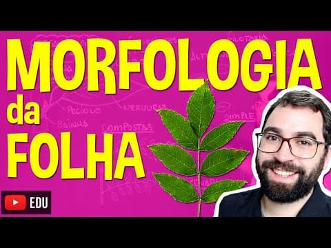 Thumbnail da aula: Morfologia da Folha (Organologia) - Aula 17: Botânica (Prof. Guilherme)