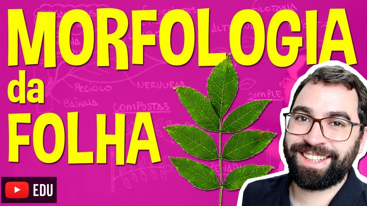 Thumbnail: Morfologia da Folha (Organologia) - Aula 17: Botânica (Prof. Guilherme)