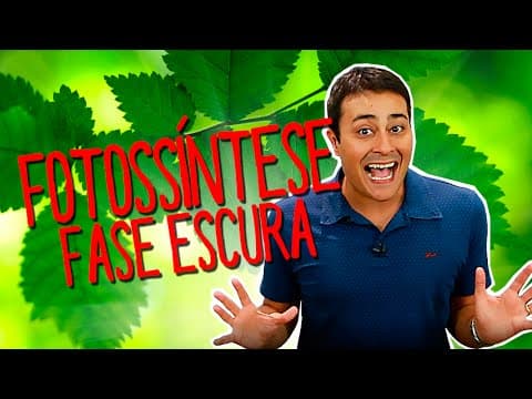 Thumbnail da aula: FOTOSSÍNTESE - FASE ESCURA (QUÍMICA) - Prof. Paulo Jubilut