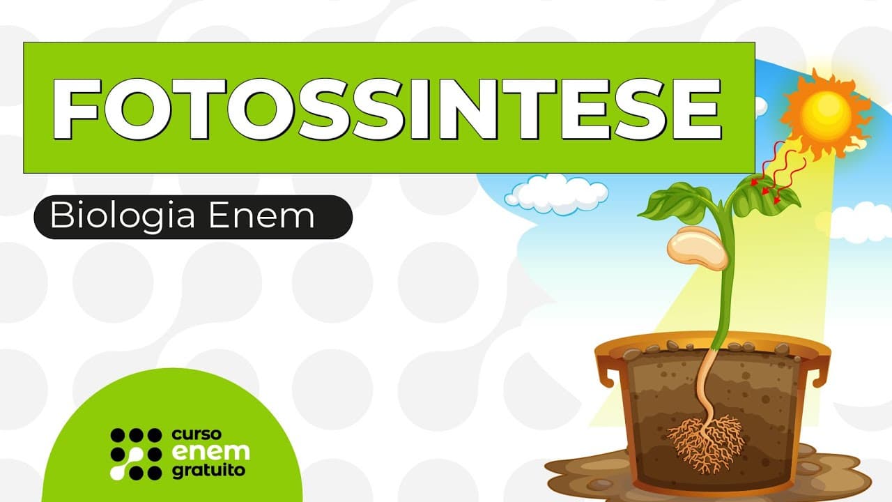 Thumbnail: FOTOSSINTESE | Biologia para o Enem | Cláudia de Souza Aguiar