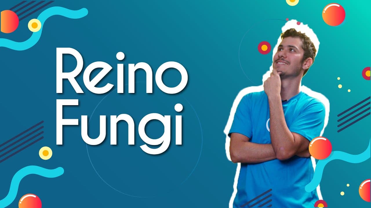 Thumbnail: Reino Fungi - Brasil Escola