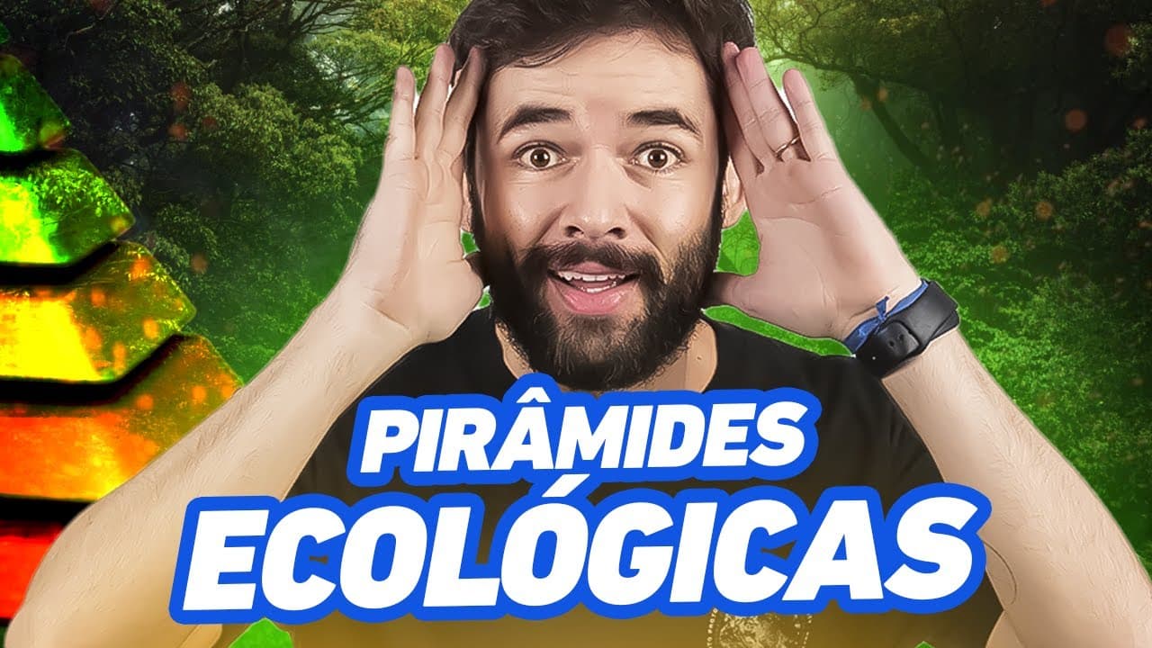 Thumbnail: O que é Pirâmide Ecológica? ECOLOGIA