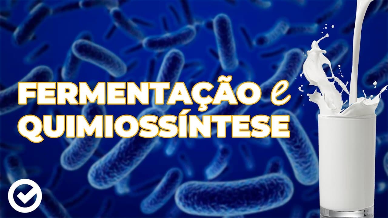 Thumbnail: Acelere no ENEM - Fermentação e Quimiosíntese