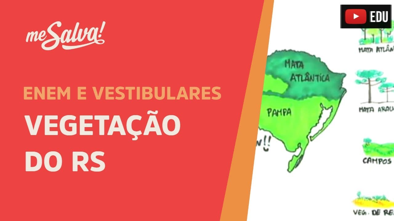 Thumbnail: Vegetação do RS - Geografia UFRGS - Me Salva!