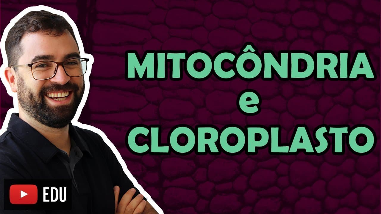 Thumbnail: Mitocôndria e Cloroplasto - Aula 23 - Módulo I: Biologia Celular | Prof. Gui