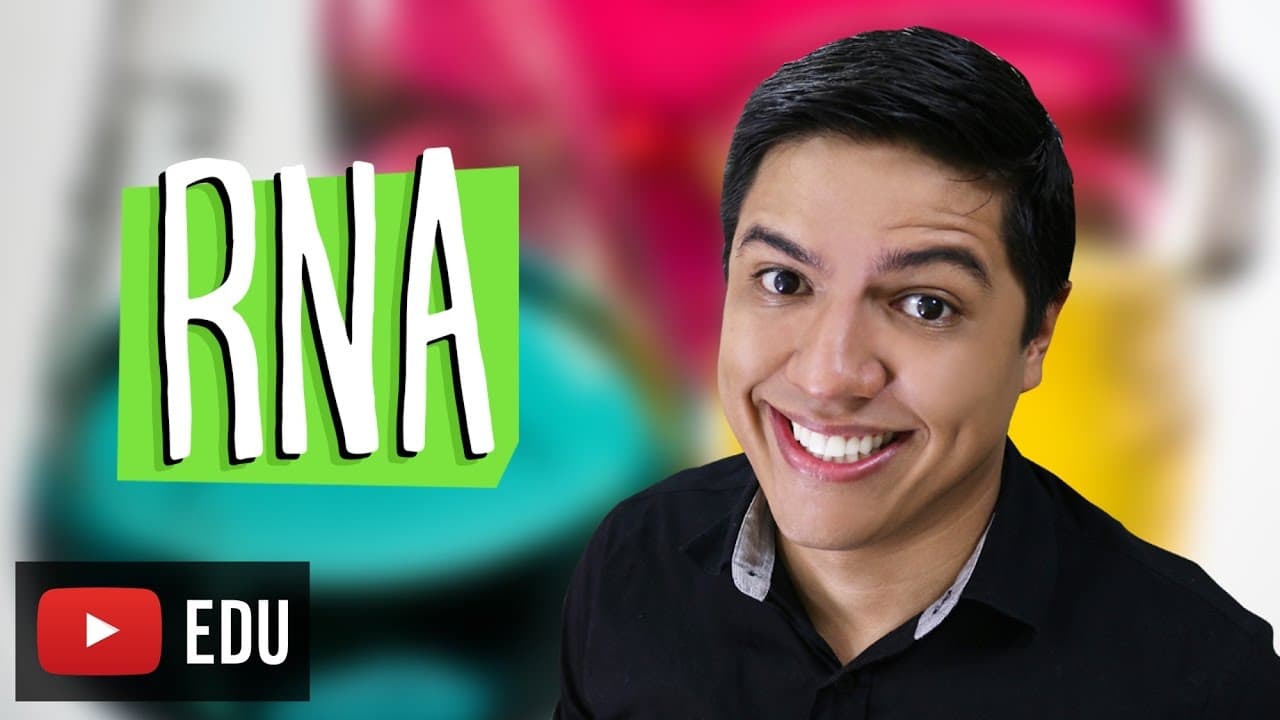 Thumbnail: ÁCIDOS NUCLEICOS - RNA - TRANSCRIÇÃO  - Prof. Kennedy Ramos
