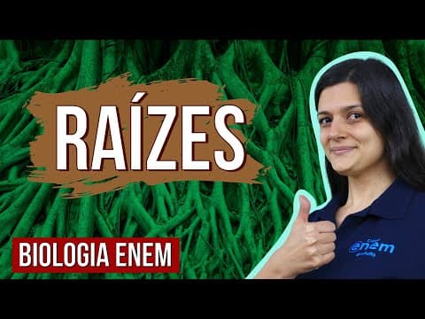 Thumbnail da aula: RAÍZES: Tipos, estrutura, características e funções | Resumo de Biologia Enem. Profe Claudia Aguiar