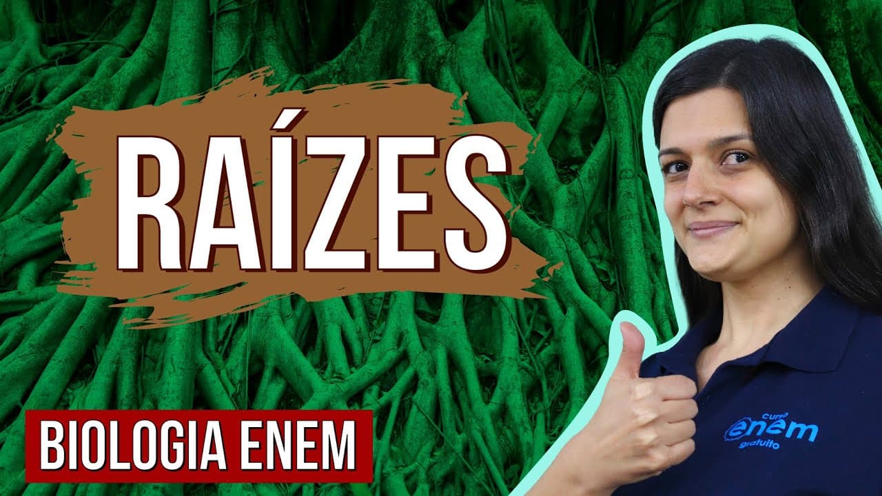 Thumbnail: RAÍZES: Tipos, estrutura, características e funções | Resumo de Biologia Enem. Profe Claudia Aguiar