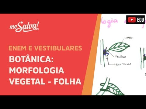 Thumbnail da aula: Me Salva! BOT41 - Botânica - Morfologia vegetal: a folha
