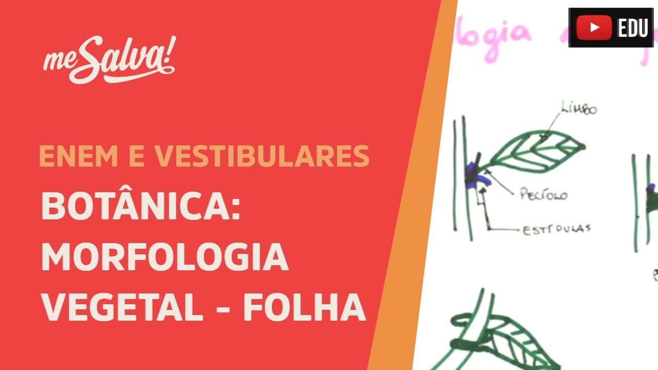 Thumbnail: Me Salva! BOT41 - Botânica - Morfologia vegetal: a folha