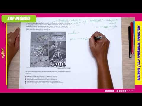 Thumbnail da aula: O POLVO MIMÉTICO APRESENTA PADRÕES CROMÁTICOS E COMPORTAMENTOS (...) | EVIDÊNCIAS EVOLUTIVAS