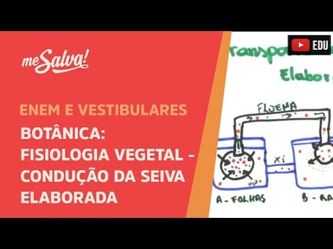 Thumbnail da aula: Me Salva! BOT27 - Botânica - Fisiologia vegetal: condução da seiva elaborada