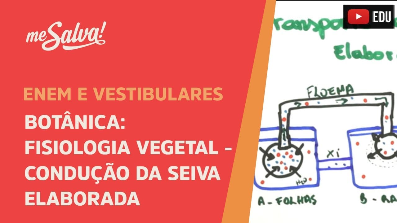 Thumbnail: Me Salva! BOT27 - Botânica - Fisiologia vegetal: condução da seiva elaborada