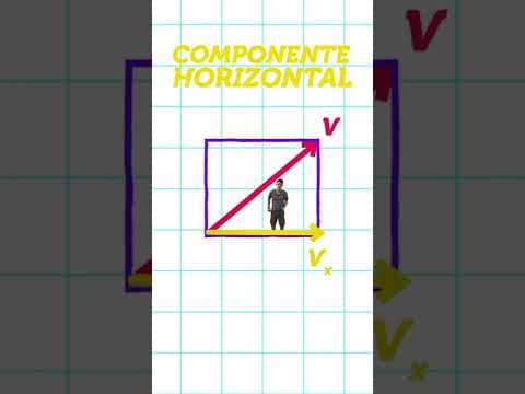 Thumbnail da aula: O que são as COMPONENTES de um VETOR? | Decomposição de Vetores | #shorts